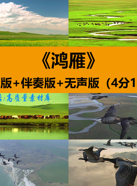 鸿雁降央卓玛歌曲伴奏草原大雁飞演出舞台LED大屏幕背景视频素材