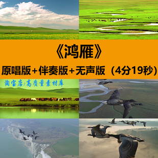鸿雁降央卓玛歌曲伴奏草原大雁飞演出舞台LED大屏幕背景视频素材