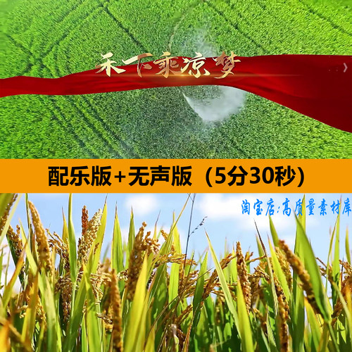 禾下乘凉梦怀念袁隆平珍惜粮食学生朗诵演讲舞台LED背景视频素材