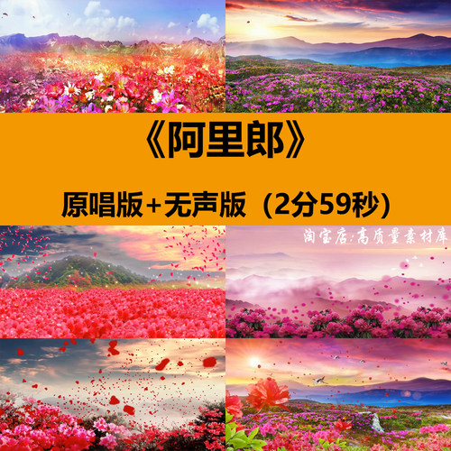 阿里郎朝鲜族民歌曲舞蹈表演出年晚会舞台LED背景金达莱视频素材