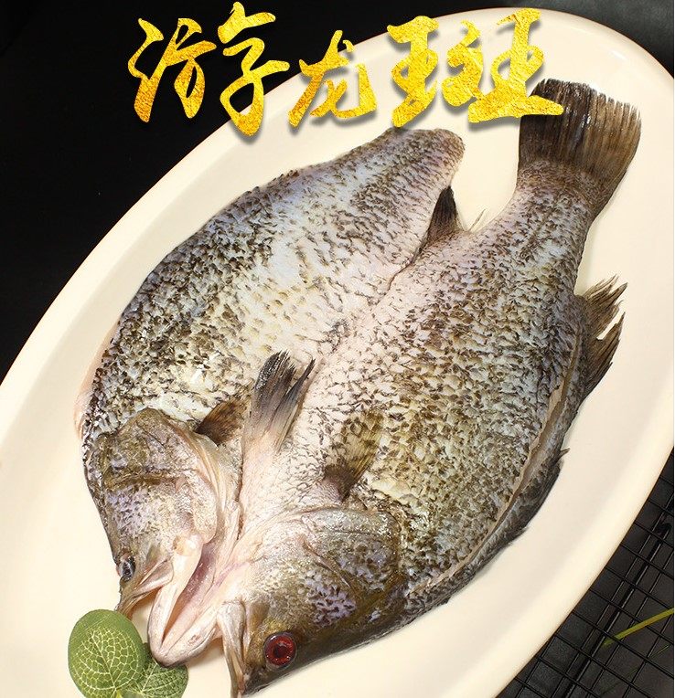 游龙斑金目鲈鱼盲曹鱼清蒸烤鱼纸包鱼半成品商用新鲜开背尖吻鲈鱼