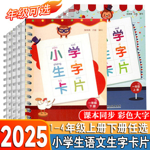社语文课本同步生字练习识字教材词语手册工具书拼音卡片 浙江教育出版 2025秋新版 小学生生字卡片一二三四年级上册下册人教版