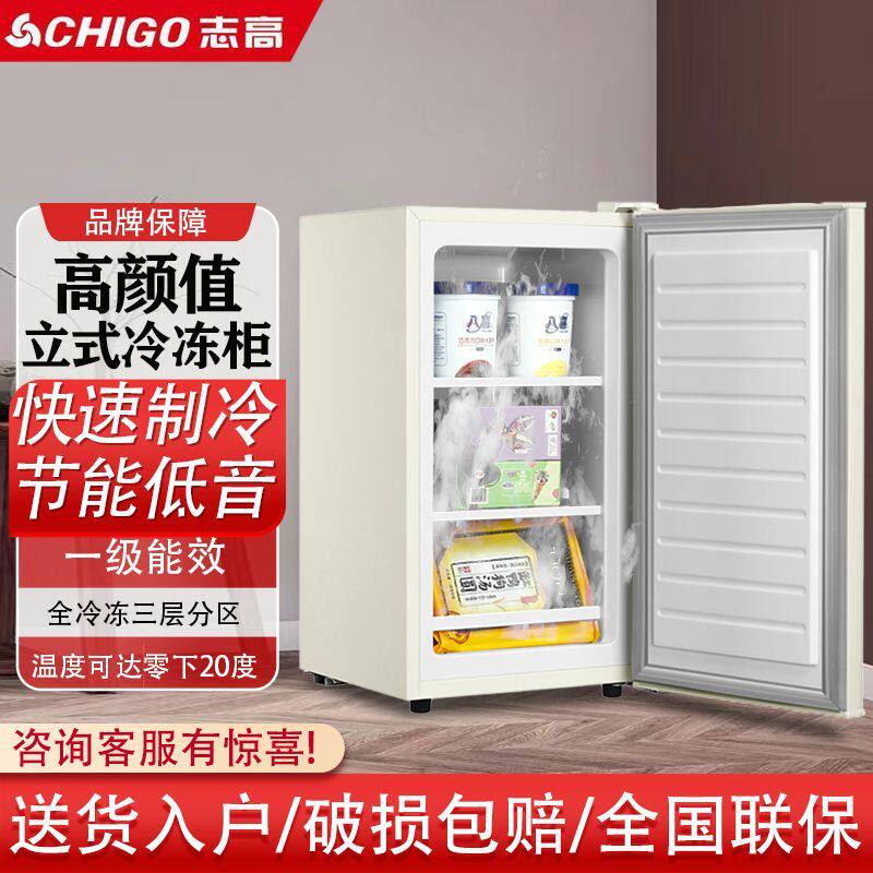 志高立式冰柜家用小型复古冷冻小冰箱储奶母乳侧开抽屉宿舍租房用