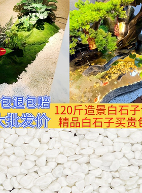 白色鹅卵石枯山水景观石子铺地小白石头黄色石子庭院造景白石子