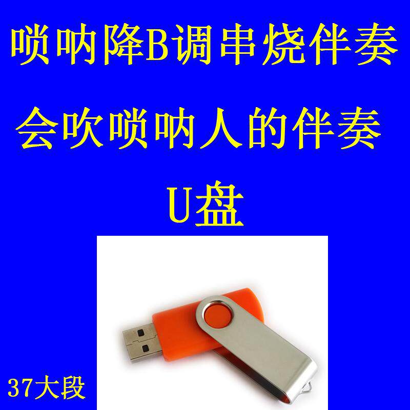 唢呐降B调串烧伴奏U盘 会吹唢呐人的U盘 唢呐伴奏U盘 电子琴弹U盘