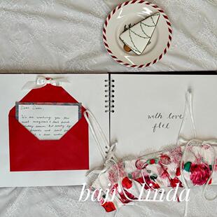 for love and lemons 花色无钢圈内衣性感蕾丝边薄款文胸长款短裙