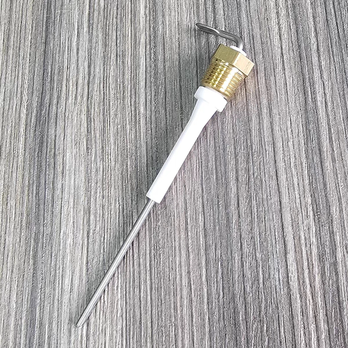 FAEMA咖啡机水位探针飞马水位探针金巴利咖啡机水位探针水位感应