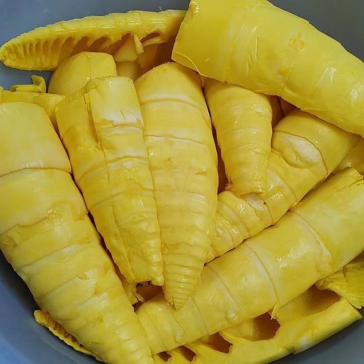 云南德宏野生新鲜黄笋嫩黄笋尖黄酸笋片开胃爽口炒菜炖汤 包邮