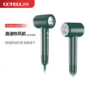 COTELL肯特GS630H GS610H吹风机家用大功率负离子护发速干不伤发