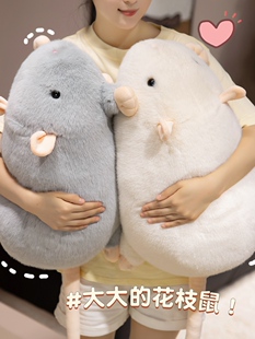 可爱小红书花枝鼠老鼠玩偶公仔儿童生日礼物送女生创意布娃娃抱枕