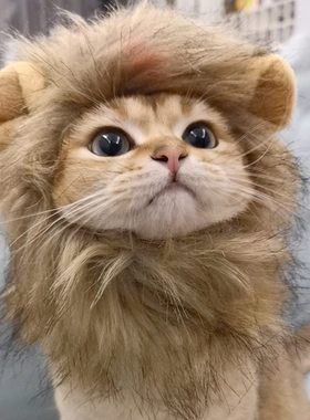猫咪狮子头套兔子耳朵小型犬狗狗帽子毛绒宠物可爱搞怪头饰变装