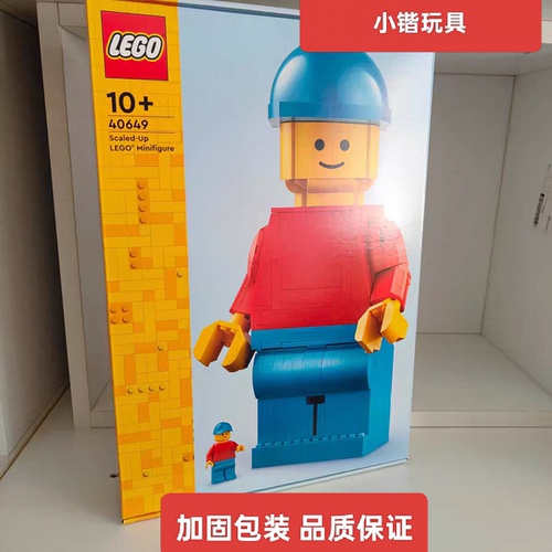 乐高40649放大版乐高小人仔男女孩拼搭积木玩具礼物