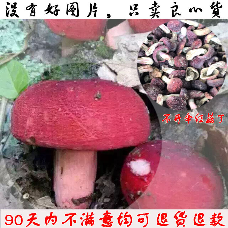 Fujian wild Russula  Wild mushroom Native dry red wine Mushroom Mushroom 250g dried food The month Good partner selectedin the Agri rice/Dried foods/Condiment , Dried foods/Meat Dry , Dry/Native , Mushroom category  category - from Buy2taobao.com to provide professional Taobao agent buy service