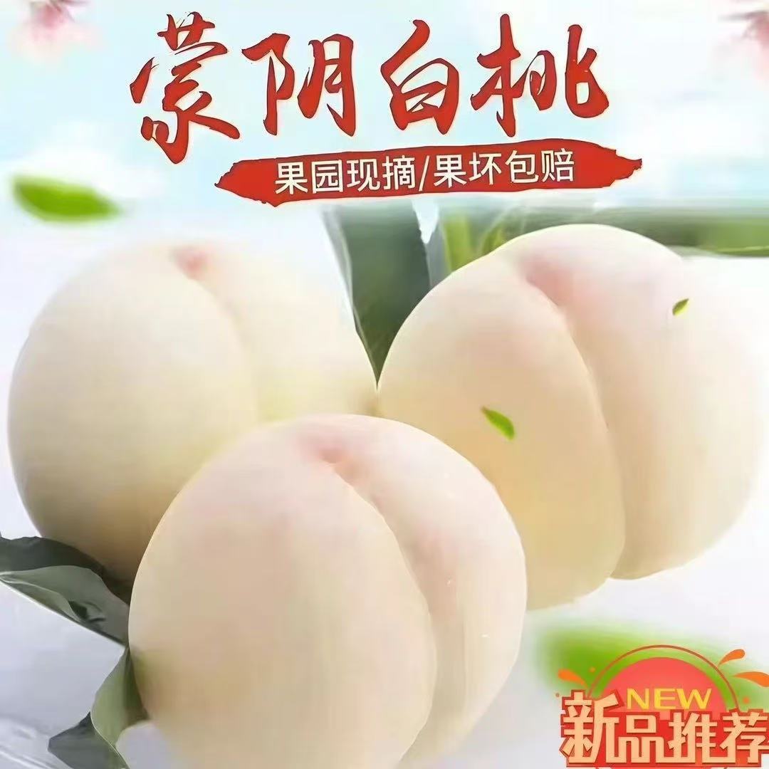 蒙阴白桃水蜜桃新鲜脆甜可口奶油桃