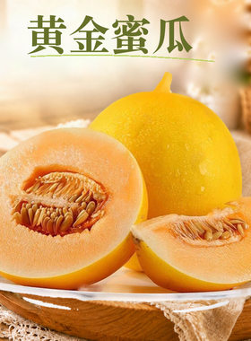 头茬黄金蜜瓜应季水果当季网纹香瓜新鲜密瓜甜瓜脆甜多汁肉厚个大