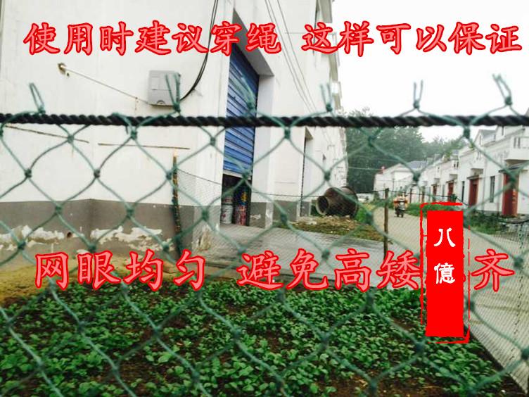 植物爬藤网 瓜果种植网 防鸟网养殖网养鸡网尼龙网防护网 球场网|msdalam kategori penghantaran bunga/bunga simulasi/tumbuhan berkebun, Gardening Supplies, Peralatan Perkebunan lain - dari Buy2taobao.com untuk memberikan perkhidmatan ejen Taobao profesional membeli