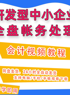 研发型中小企业全盘账务处理会计做账实训教程视频网课课件B17