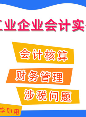 工业企业工厂会计核算真帐实操财务管理 会计视频 课程 教程A19