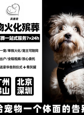 宠物火化动物殡葬猫咪狗狗善终