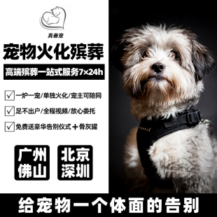 深圳宠物火化殡葬广州佛山猫咪火葬狗狗安乐动物墓地殡仪善终上门