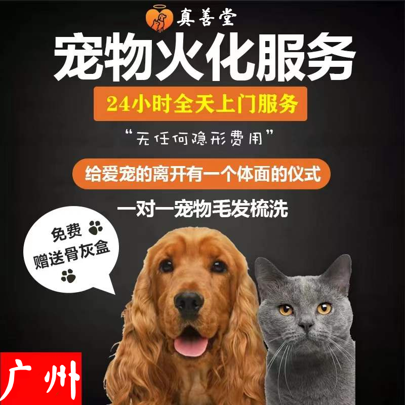 深圳宝安龙华猫猫狗狗宠物火化动物殡葬火葬安葬葬礼安乐服务上门