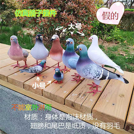 大鸽子仿真灰鸽子广场鸽泡沫材质假鸟家居装饰品摆件不能室外淋雨