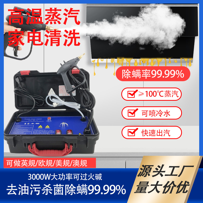 110v台湾蒸汽清洁机空调清洗机家油烟机电热水器高温蒸汽高压水枪