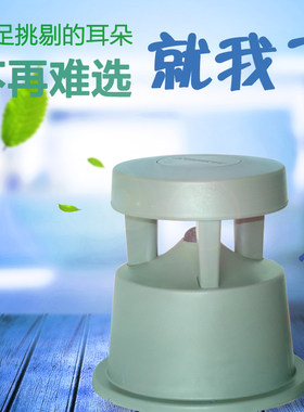 草坪音响公园园林草地音箱室外户外防水喇叭 防水好 60w