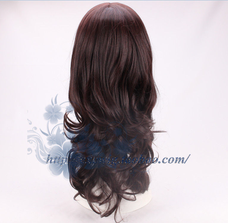 Perruque Les cheveux longs - Ref 2610104 Image 5