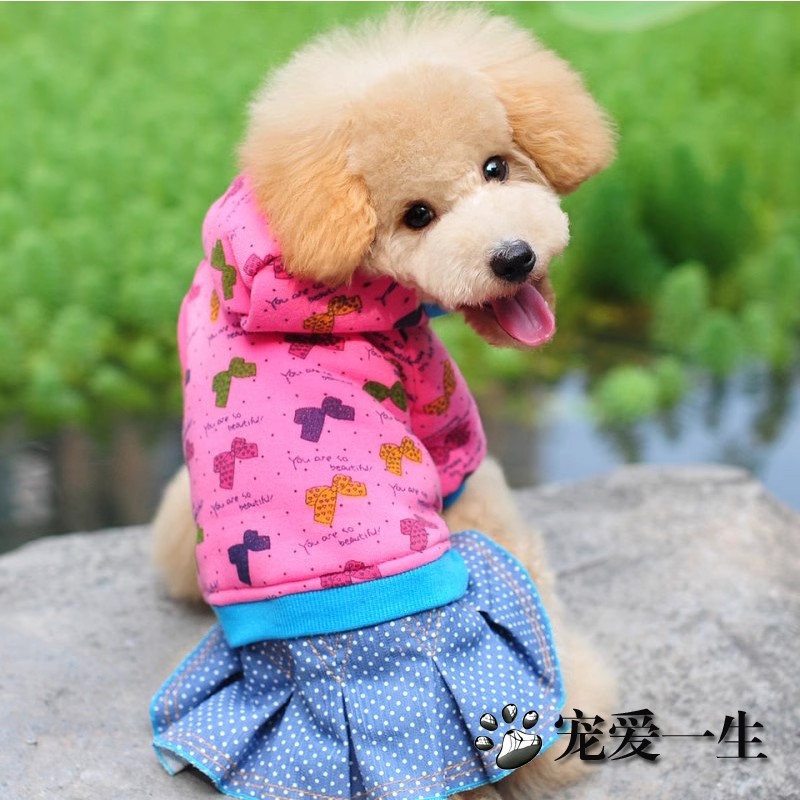 保暖宠物服饰CHUKCHI宠物服饰