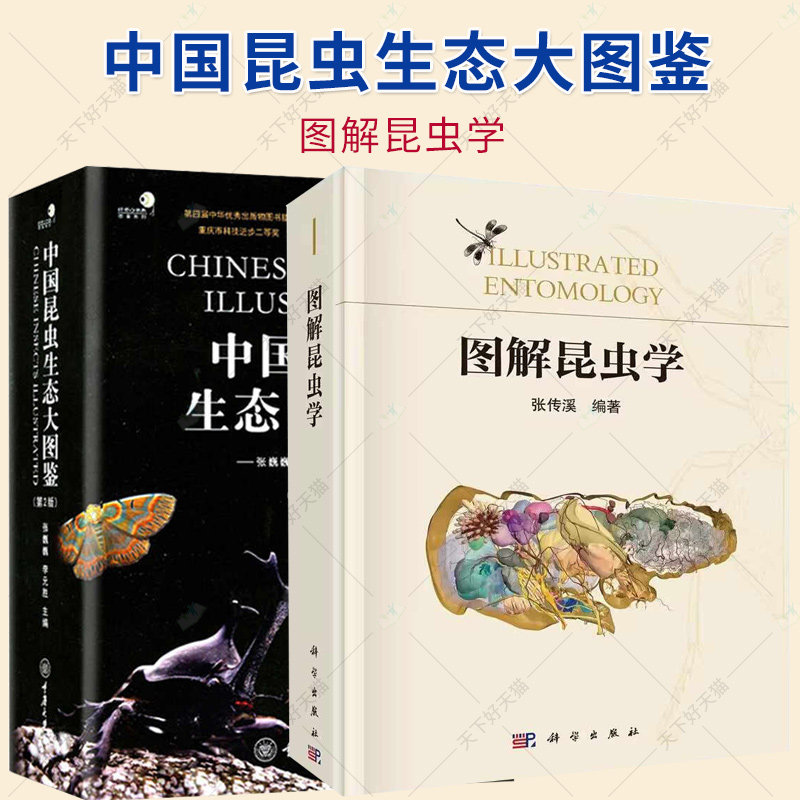 中国昆虫生态大图鉴+图解昆虫学 科普类读物昆虫学入门教材昆虫生物学 昆虫分类学 昆虫生态学书籍 微生物小动物科学研究探索书籍