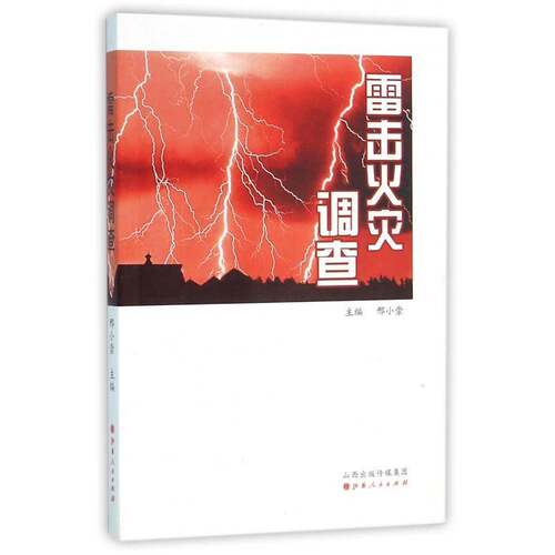雷击火灾调查邢小崇 雷击火火灾事故调查社会科学书籍