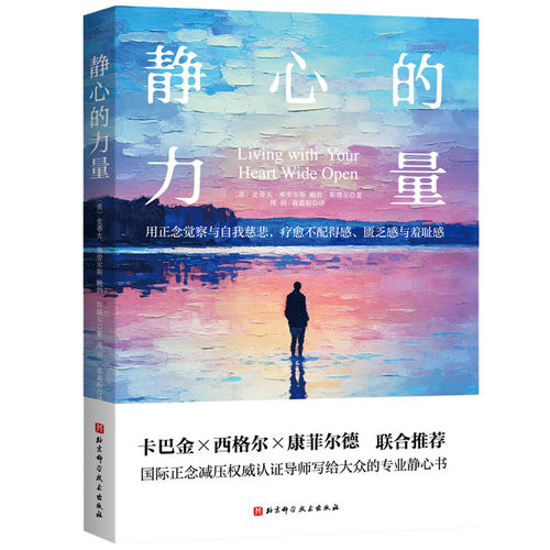 静心的力量 心里疗愈 静心冥想 正念减压 导师写给大众的专业静心书 北京科学技术出版社 9787571452292