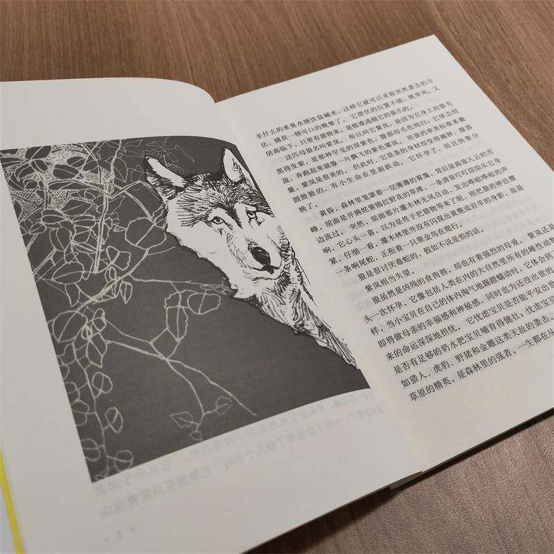 狼王梦全本沈石溪  儿童读物书籍图片