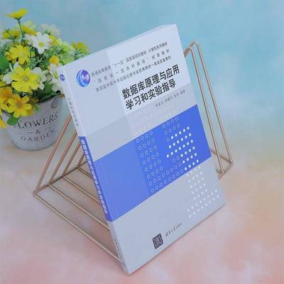 数据库原理与应用学习和实验指导宋金玉  计算机与网络书籍