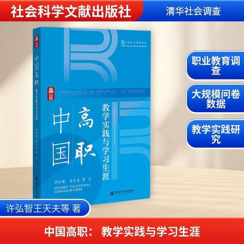 中国高职:教学实践与学习生涯:teaching practice and learning journey许弘智  图书书籍