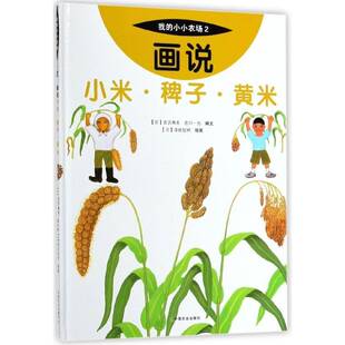 画说小米·稗子·黄米古沢典夫 小米儿童读物儿童读物书籍