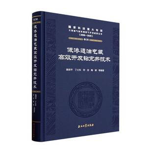 路保平等 低渗透油气藏开发钻完井技术 精 2020 工业技术书籍 2008