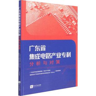 广东省集成电路产业专利分析与对策广东省市场监督管理局普通大众集成电路产业专利技术研究报告广经济书籍