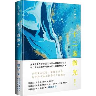 十二盏微光若非 小说书籍