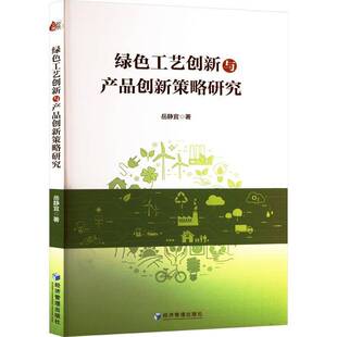 绿色工艺创新与产品创新策略研究岳静宜 管理书籍