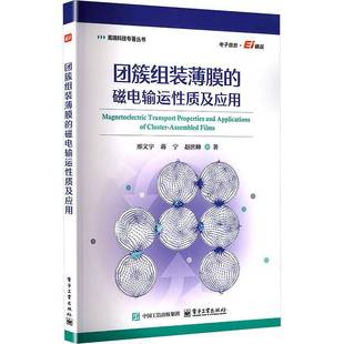 图书书籍 磁电输运性质及应用邢文宇 团簇组装 薄膜