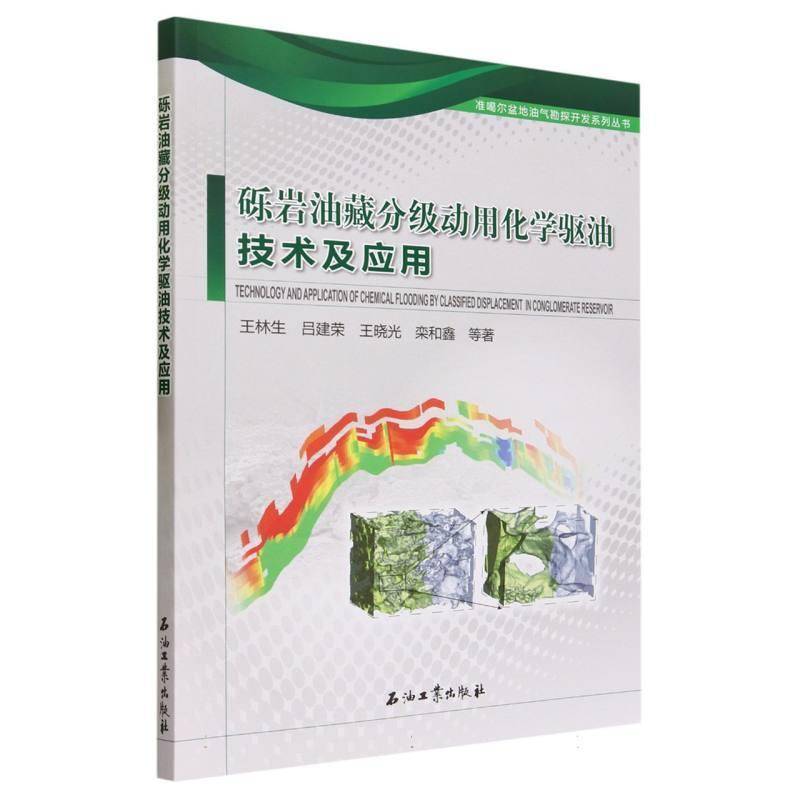 砾岩油藏分级动用化学驱油技术及应用王林生等  工业技术书籍