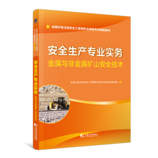 2019中级注册安全工程师考试教材 安全生产专业实务 中级 注安教材用书 天一 金属与非金属矿山安全技术 安全工程师考试教材2019