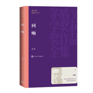 回响东西  小说书籍