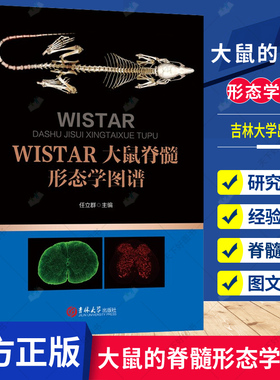 正版包邮 WISTAR大鼠的脊髓形态学图谱 大鼠脊髓切片制备 脊髓不同节段星形胶质细胞形态 吉林大学出版社9787569279399 书籍