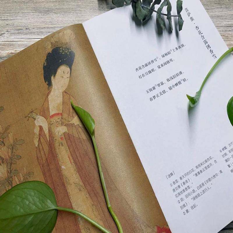 花间系列(3册套装)(乐府诗选+诗经选+花间词选)东方博观 文学书籍