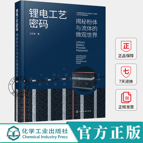 锂电工艺密码 揭秘粉体与流体的微观世界 电极制备技术解析 锂电池制造技术解析 电极材料与流体动力学研究 新能源产业工艺参考书