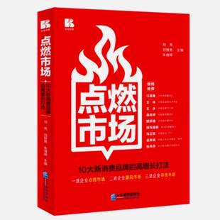 经济书籍 高增长打法刘亮 点燃市场 10大新消费品牌