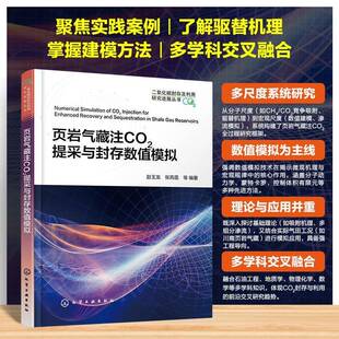 页岩气藏注CO2提采与封存数值模拟 二氧化碳封存及利用研究进展丛书 页岩气藏储渗特征及多尺度流动机理 油气田勘探与开发技术丛书